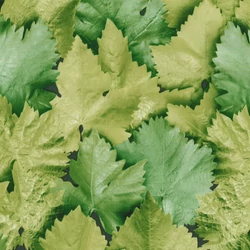 Levelek öntapadós tapéta