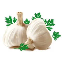 Fokhagyma zölddel csempematrica