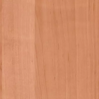 Körtefa-erezetű öntapadós tapéta