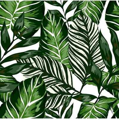 HOUSE PLANTS öntapadós fólia