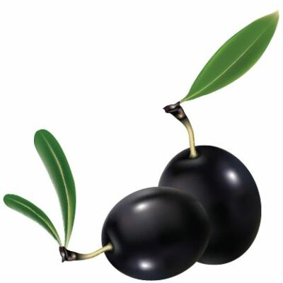 Fekete olívabogyó csempematrica