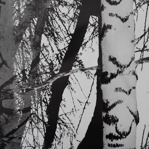 Fák öntapadós tapéta - 45 cm x 200 cm