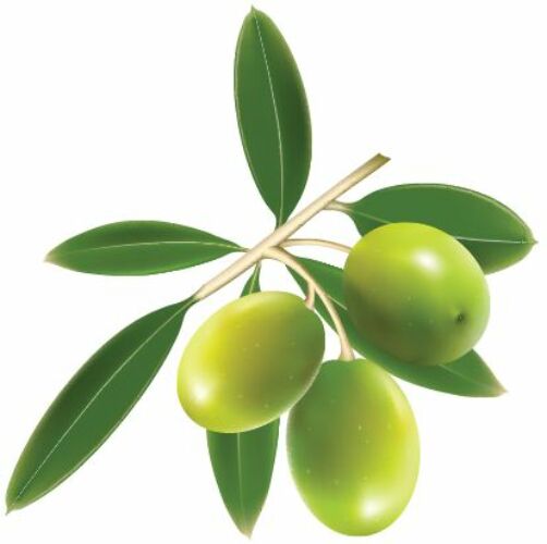 Zöld olívabogyó csempematrica
