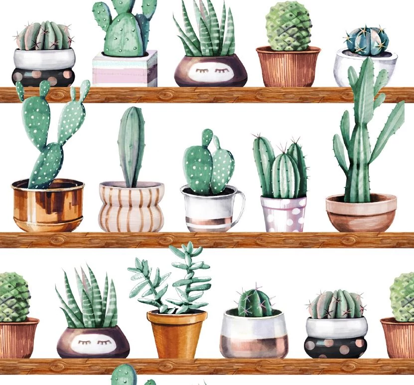CACTI SZTATIKUS ÜVEGFÓLIA